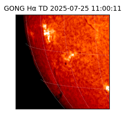gong - 2025-07-25T11:00:11