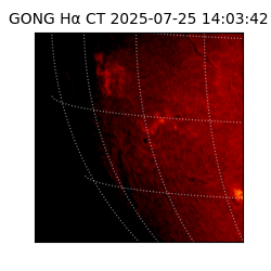 gong - 2025-07-25T14:03:42