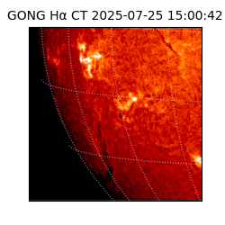 gong - 2025-07-25T15:00:42