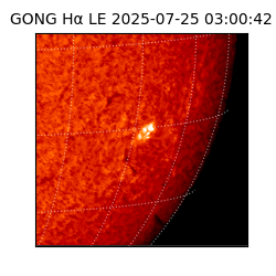 gong - 2025-07-25T03:00:42
