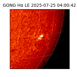 gong - 2025-07-25T04:00:42