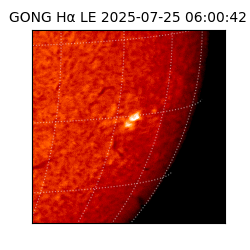 gong - 2025-07-25T06:00:42