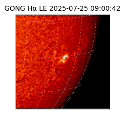 gong - 2025-07-25T09:00:42
