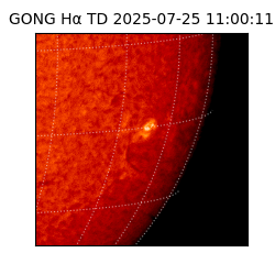 gong - 2025-07-25T11:00:11