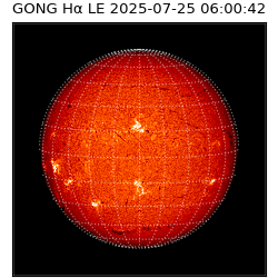 gong - 2025-07-25T06:00:42