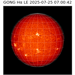 gong - 2025-07-25T07:00:42