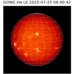 gong - 2025-07-25T08:00:42
