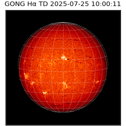 gong - 2025-07-25T10:00:11