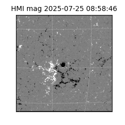 shmi - 2025-07-25T08:58:46