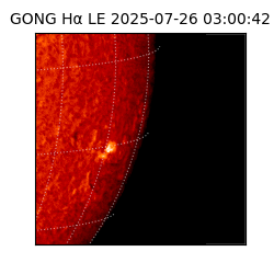 gong - 2025-07-26T03:00:42