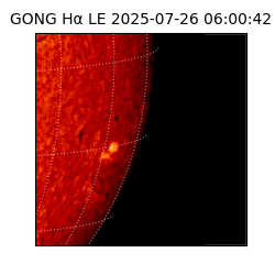 gong - 2025-07-26T06:00:42
