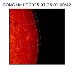 gong - 2025-07-26T01:00:42