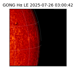 gong - 2025-07-26T03:00:42