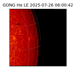 gong - 2025-07-26T06:00:42