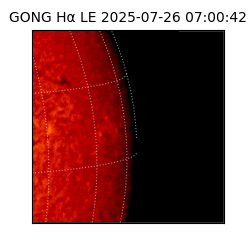 gong - 2025-07-26T07:00:42
