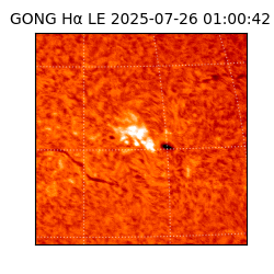 gong - 2025-07-26T01:00:42