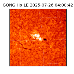 gong - 2025-07-26T04:00:42