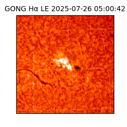 gong - 2025-07-26T05:00:42