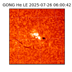 gong - 2025-07-26T06:00:42