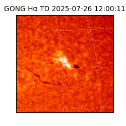 gong - 2025-07-26T12:00:11
