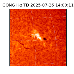 gong - 2025-07-26T14:00:11