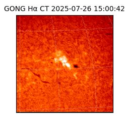 gong - 2025-07-26T15:00:42