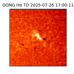 gong - 2025-07-26T17:00:11