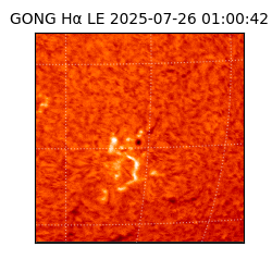 gong - 2025-07-26T01:00:42