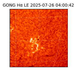 gong - 2025-07-26T04:00:42