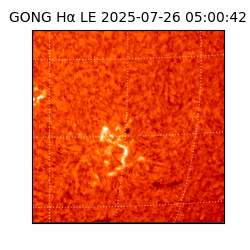 gong - 2025-07-26T05:00:42