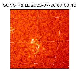 gong - 2025-07-26T07:00:42