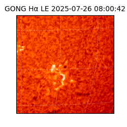 gong - 2025-07-26T08:00:42