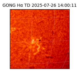 gong - 2025-07-26T14:00:11