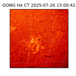 gong - 2025-07-26T15:00:42