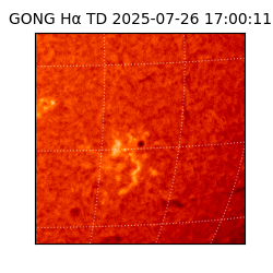 gong - 2025-07-26T17:00:11