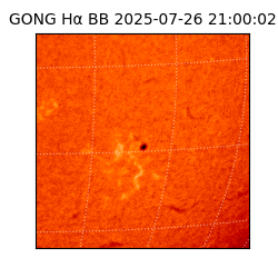 gong - 2025-07-26T21:00:02