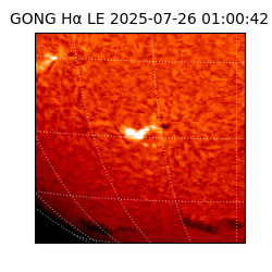 gong - 2025-07-26T01:00:42