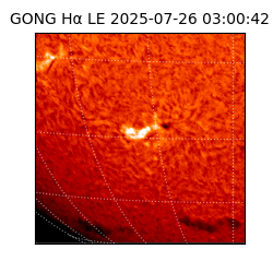 gong - 2025-07-26T03:00:42