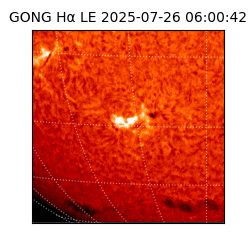 gong - 2025-07-26T06:00:42