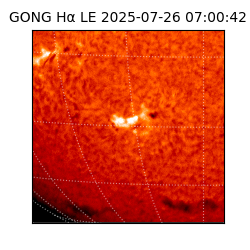 gong - 2025-07-26T07:00:42