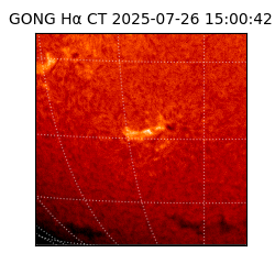 gong - 2025-07-26T15:00:42