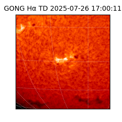 gong - 2025-07-26T17:00:11