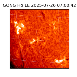 gong - 2025-07-26T07:00:42