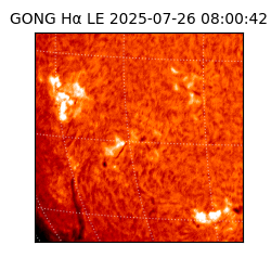 gong - 2025-07-26T08:00:42