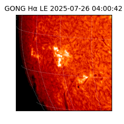 gong - 2025-07-26T04:00:42