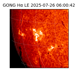 gong - 2025-07-26T06:00:42