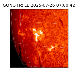 gong - 2025-07-26T07:00:42