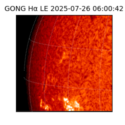 gong - 2025-07-26T06:00:42
