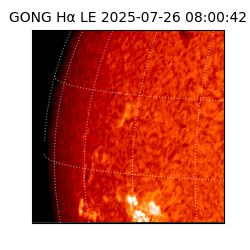 gong - 2025-07-26T08:00:42