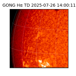gong - 2025-07-26T14:00:11